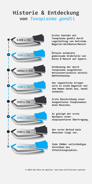 Infografik-Toxoplasma-Historie-Entdeckung-Thumbnail-Das-Miez